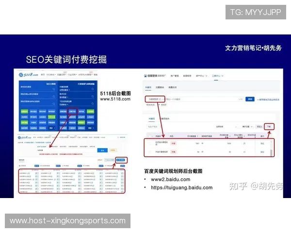 如何使用Bing关键词挖掘工具提升SEO效果和网站流量